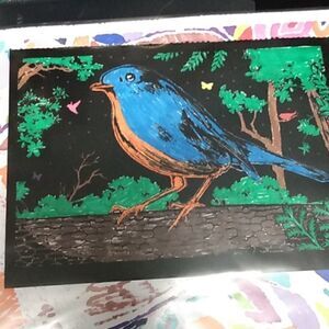 Coloring of a bird